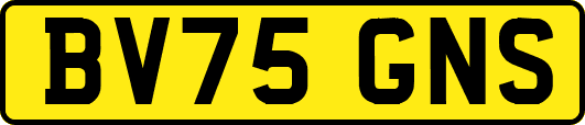 BV75GNS