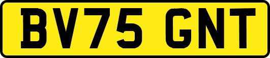 BV75GNT