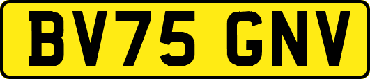 BV75GNV