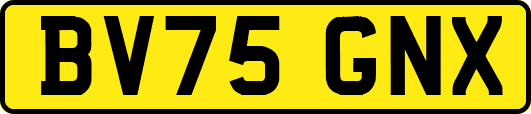 BV75GNX