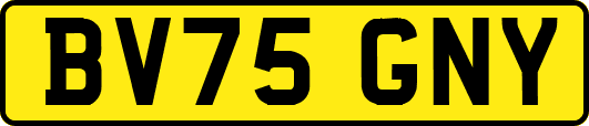 BV75GNY