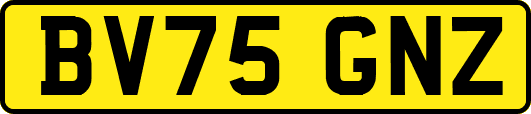 BV75GNZ