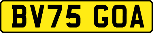 BV75GOA