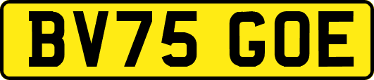 BV75GOE