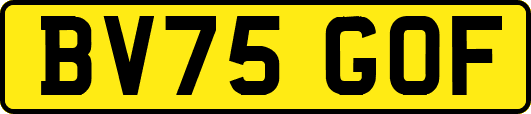 BV75GOF