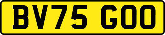 BV75GOO