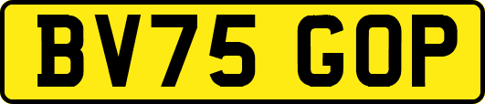 BV75GOP