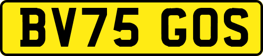 BV75GOS