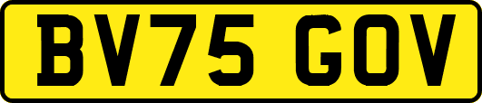 BV75GOV