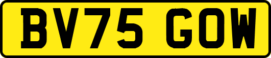 BV75GOW