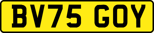 BV75GOY