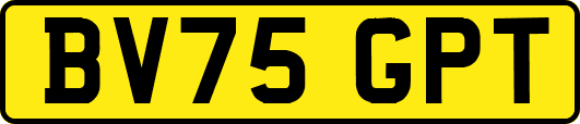 BV75GPT