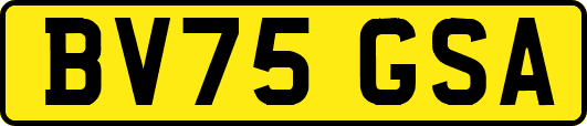BV75GSA
