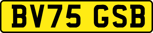 BV75GSB