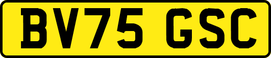 BV75GSC