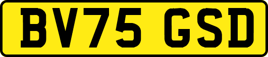 BV75GSD