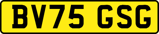 BV75GSG