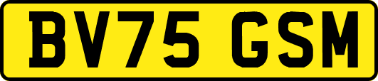 BV75GSM