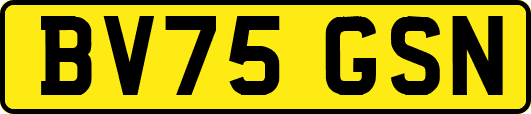 BV75GSN