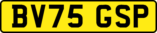 BV75GSP