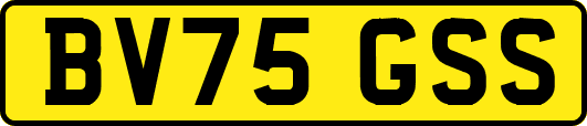 BV75GSS