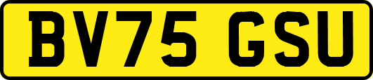 BV75GSU