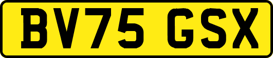 BV75GSX