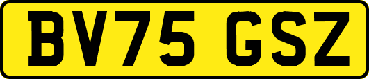 BV75GSZ