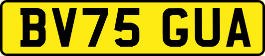 BV75GUA