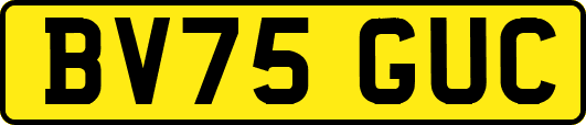 BV75GUC