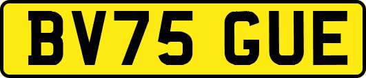 BV75GUE