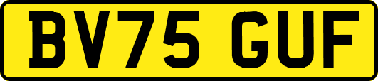 BV75GUF