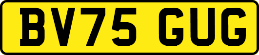 BV75GUG