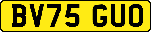 BV75GUO