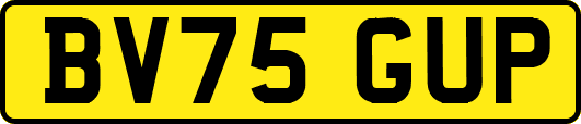BV75GUP
