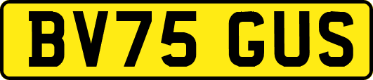 BV75GUS