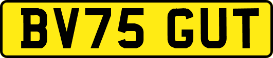 BV75GUT