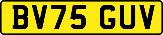 BV75GUV