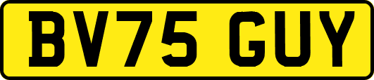 BV75GUY