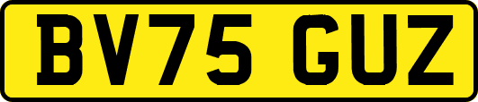 BV75GUZ