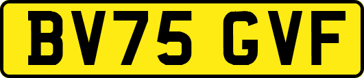 BV75GVF