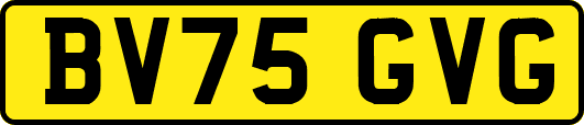 BV75GVG