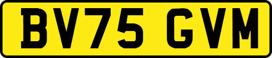 BV75GVM