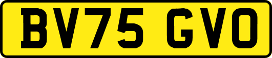 BV75GVO