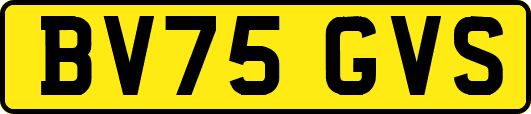 BV75GVS