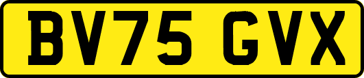 BV75GVX