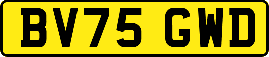 BV75GWD