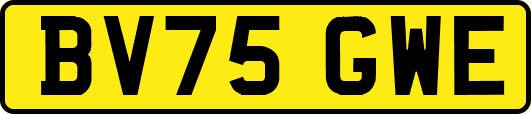 BV75GWE