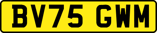 BV75GWM