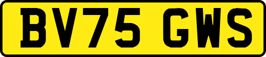 BV75GWS